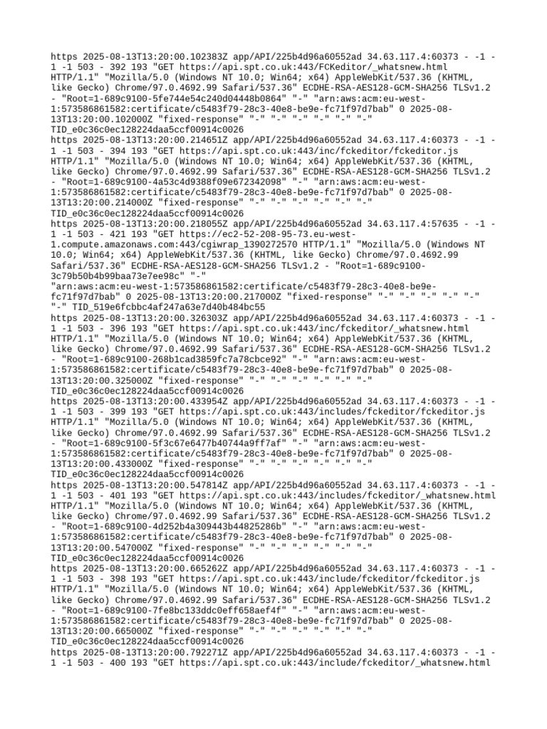 API Access Logs Analysis 2025 | PDF | Safari (Web Browser) | Transport ...