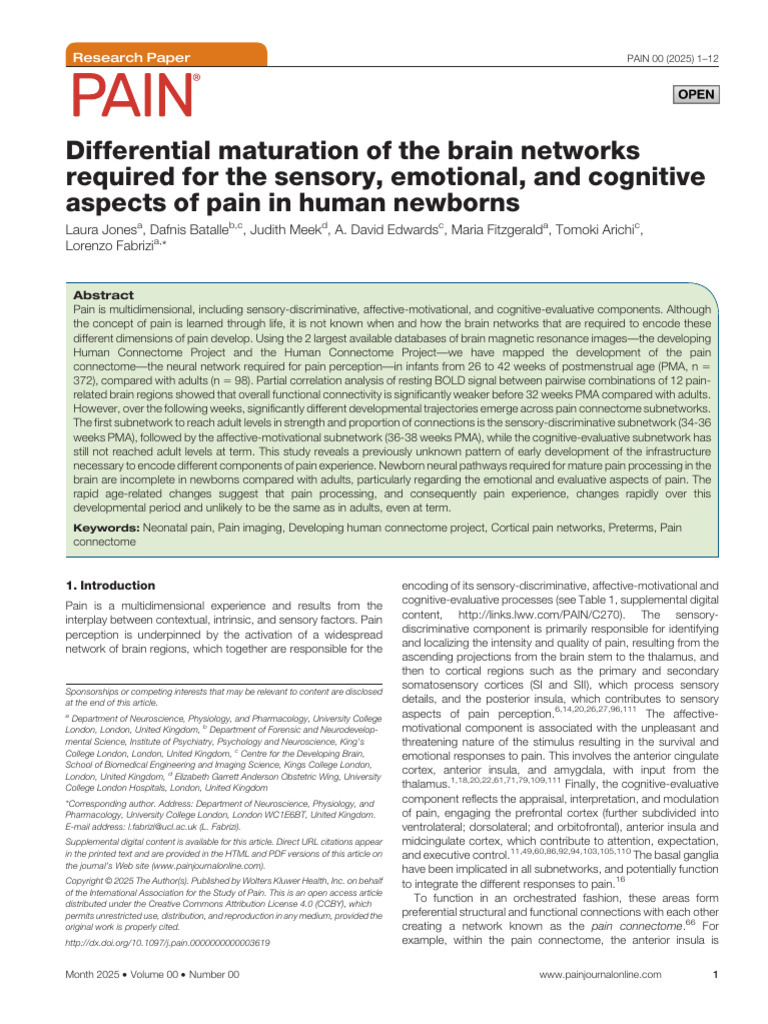 Differential Maturation of The Brain Networks.919 | PDF | Functional ...
