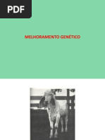Melhoramento Genético