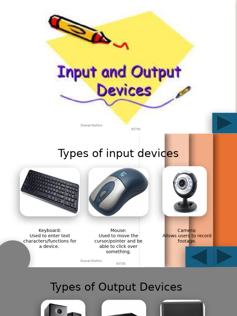 Input and Output Devices | PDF