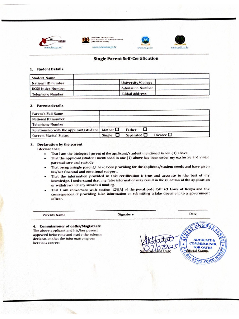 Single Parent | PDF