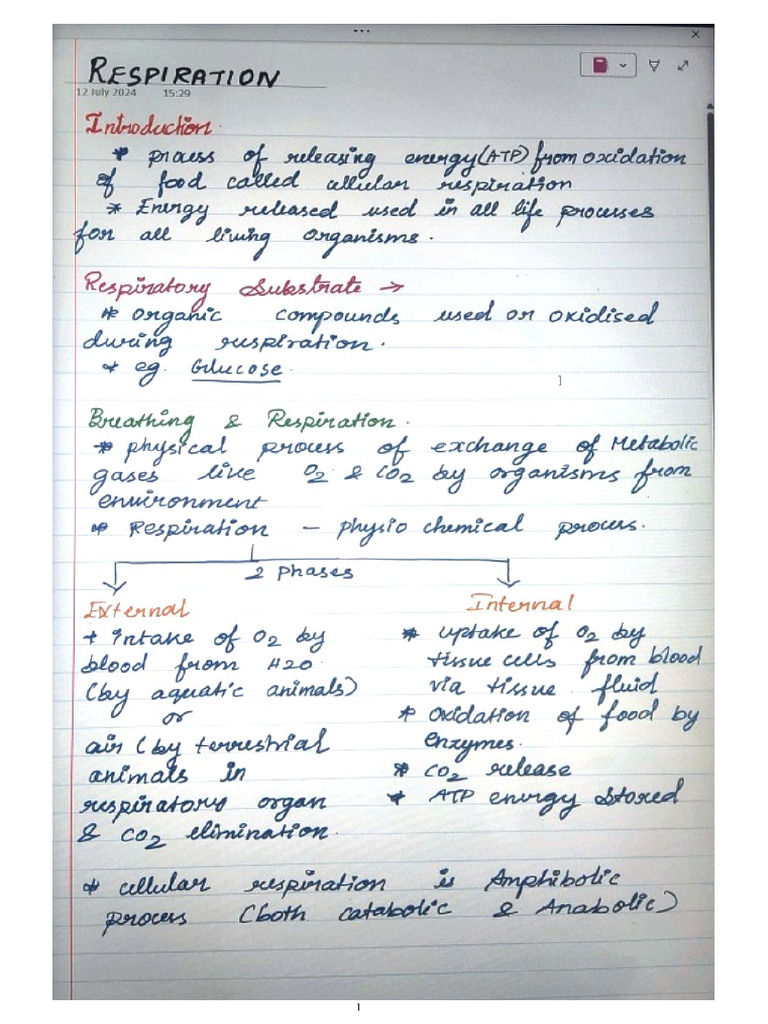 Respiration (Class 10 Notes) | PDF