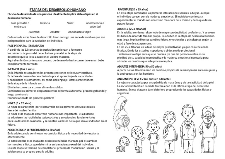 Etapas del Desarrollo Humano | PDF | Adultos | Vejez