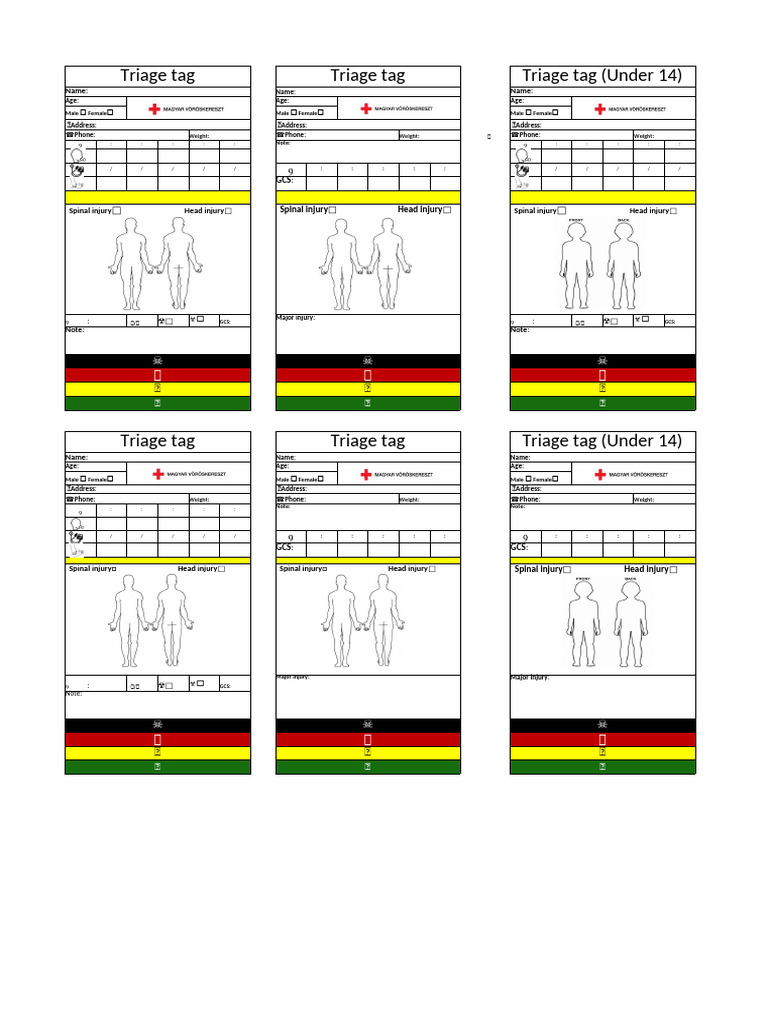 Triage Tag Template for Patients | PDF | Medical Emergencies ...
