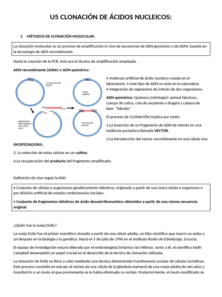 U5 3ºt BMCG | PDF | Plásmido | Bacteriófago