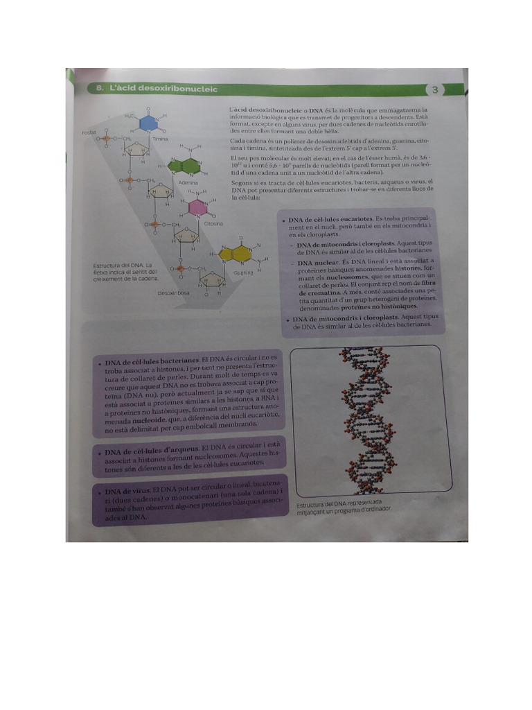 Bio | PDF