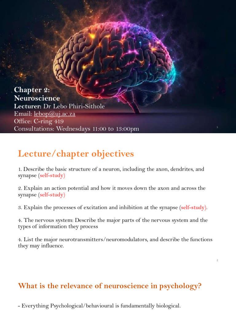 Neuroscience Basics in Psychology | PDF | Neuron | Nervous System