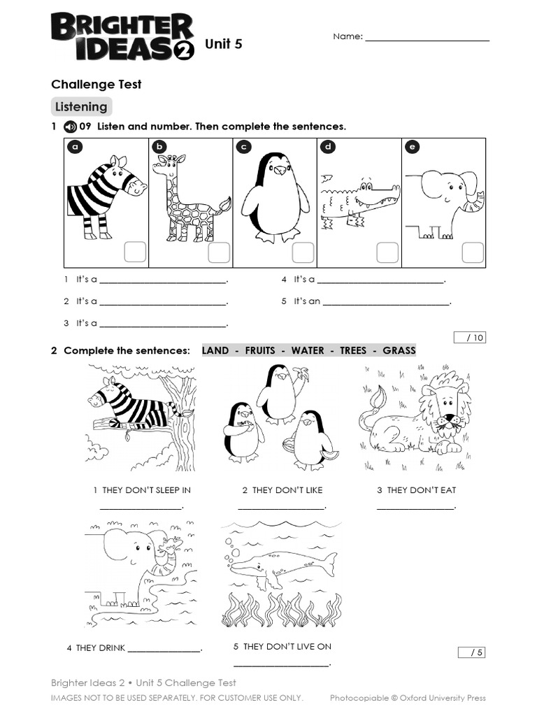 Unit 5 Challenge Test for Brighter Ideas 2 | PDF | Zoology