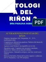 PATOLOGIA DEL RIÑON clase 4