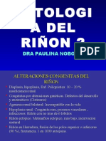 PATOLOGIA DEL RIÑON Clase 4