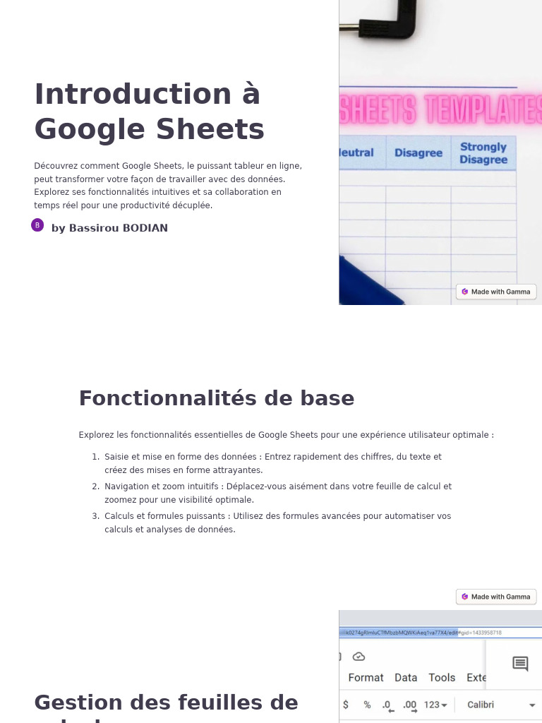 Guide complet sur Google Sheets | PDF | Feuille de calcul | Informatique