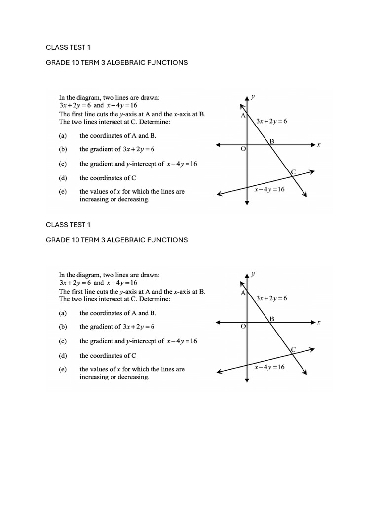 Class Test 1 Grade 10 Term 3 | PDF