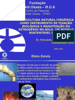 Agricultura Natural Como to de Fixacao Biologica e Manutencao Do Nitrogenio No Solo. Um Modelo Sustentavel de Mdl.