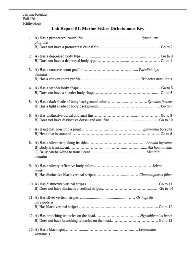 Marine Fishes Dichotomous Key Lab Report | PDF | Fish