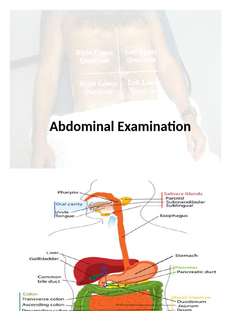 Comprehensive Guide to Abdominal Examination | PDF | Stomach ...