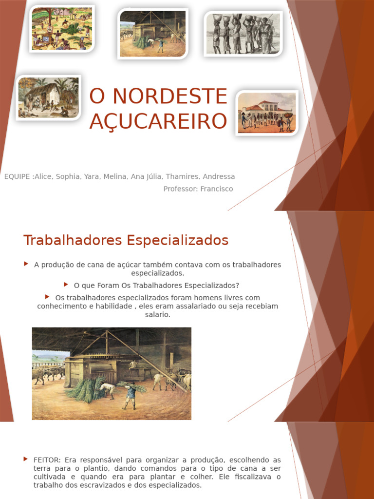 Estrutura do Nordeste Açucareiro | PDF