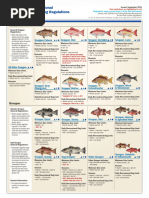 Queensland Fish Size and Bag Limits | PDF