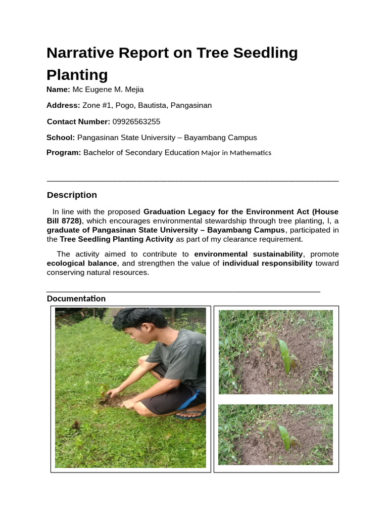 Tree Seedling Planting Report | PDF
