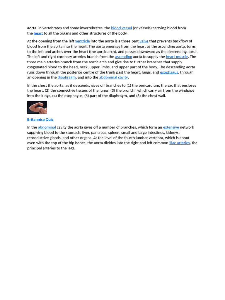 Scribd 1 | PDF