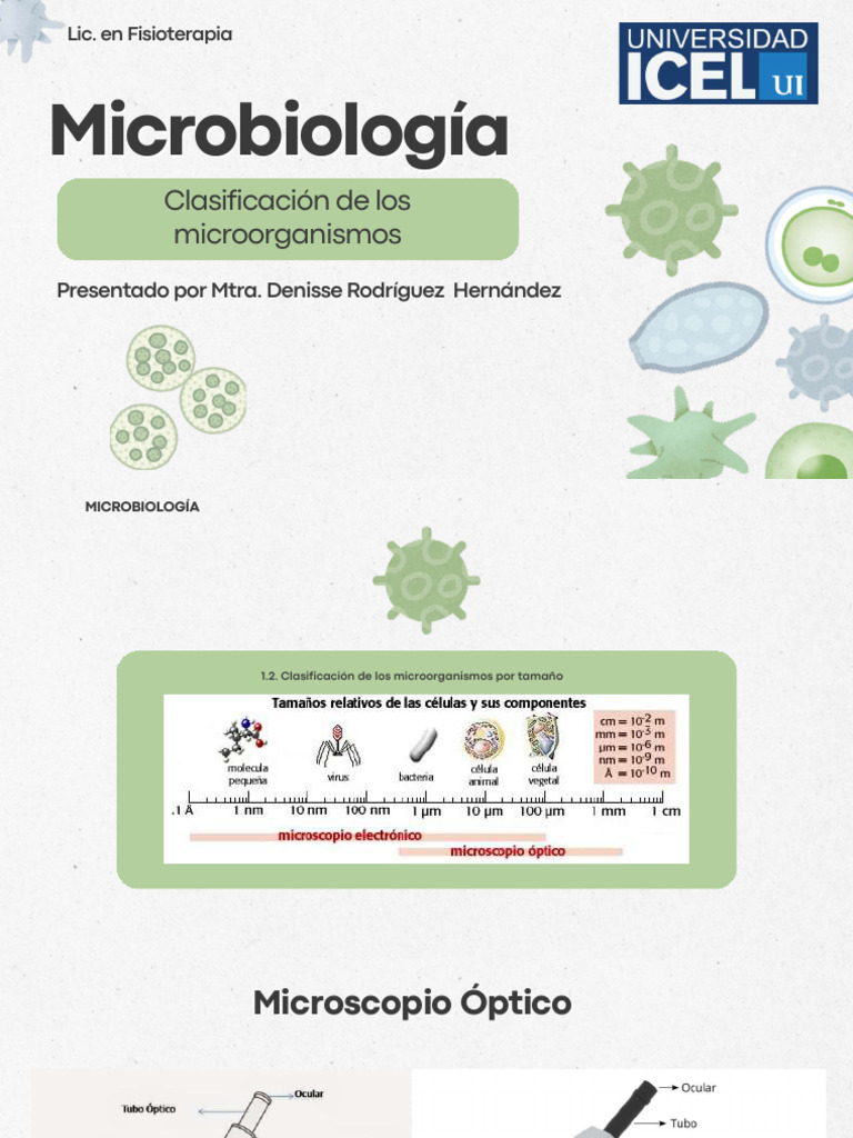 Clasificación de Microorganismos en Microbiología | PDF | Las bacterias ...