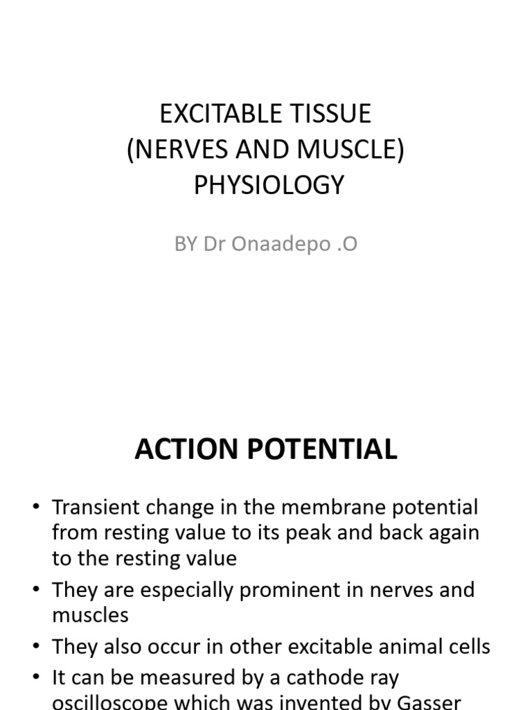 Understanding Action Potentials in Nerves | PDF | Chemical Synapse ...