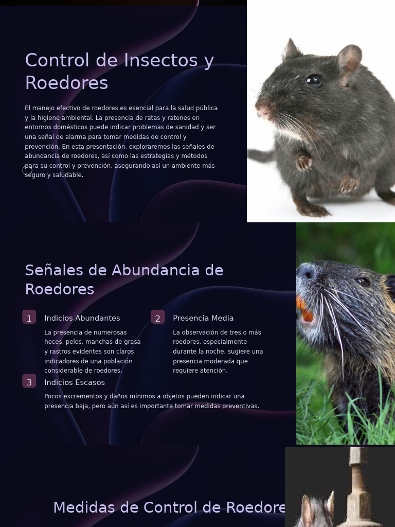 Control de Roedores y Plaguicidas Efectivos | PDF | Pesticida | Control ...