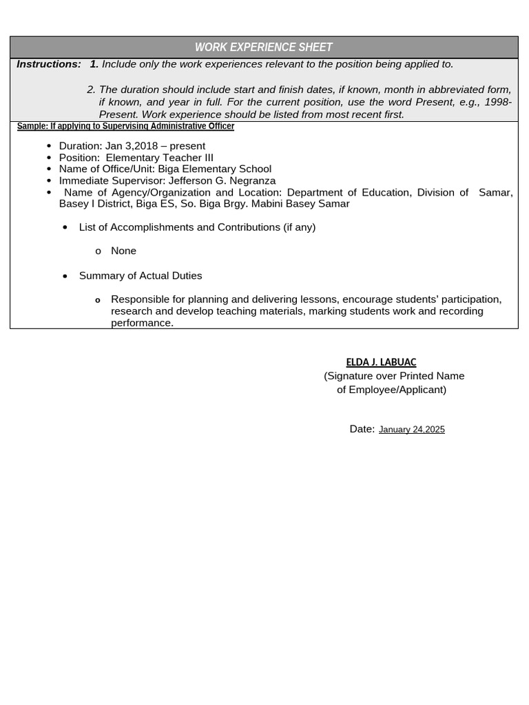 Work Experience Sheet Template for Applicants | PDF