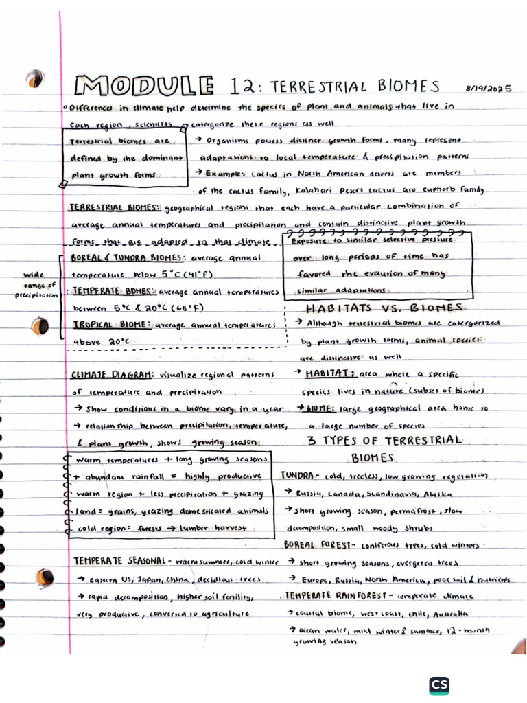 Module 12 | PDF