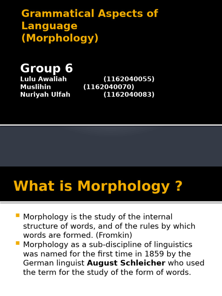 Understanding Morphology in Linguistics | PDF | Word | Language Families