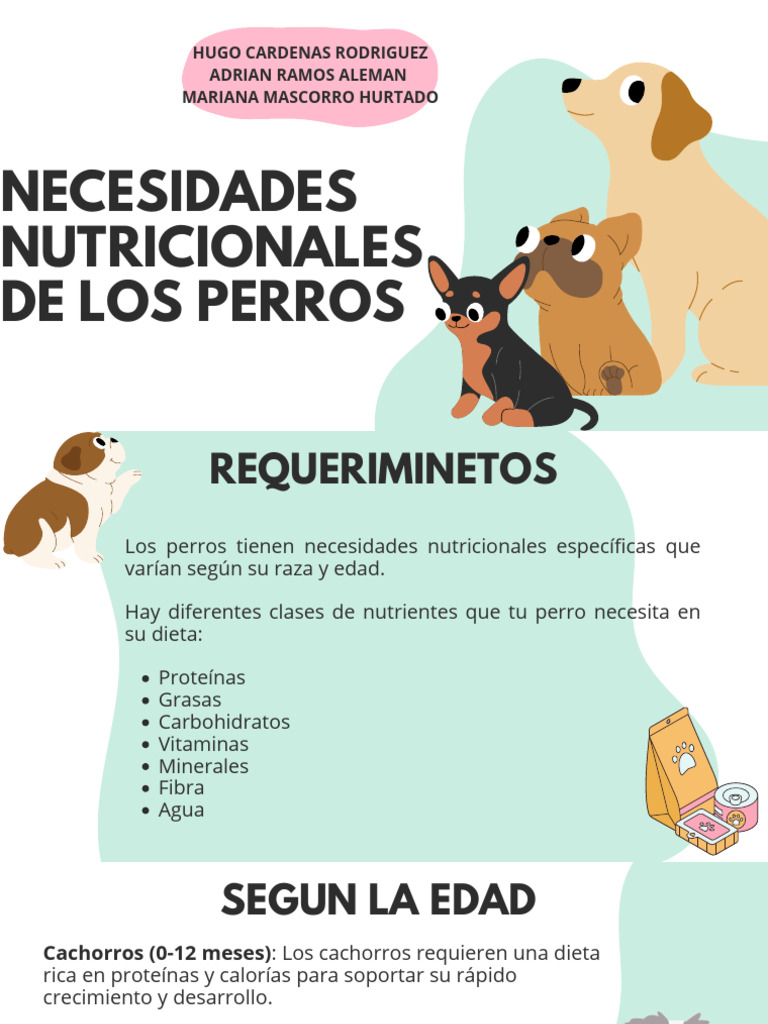 necesidades-nutricionales-de-los-perros-pdf-nutrici-n-dieta-y