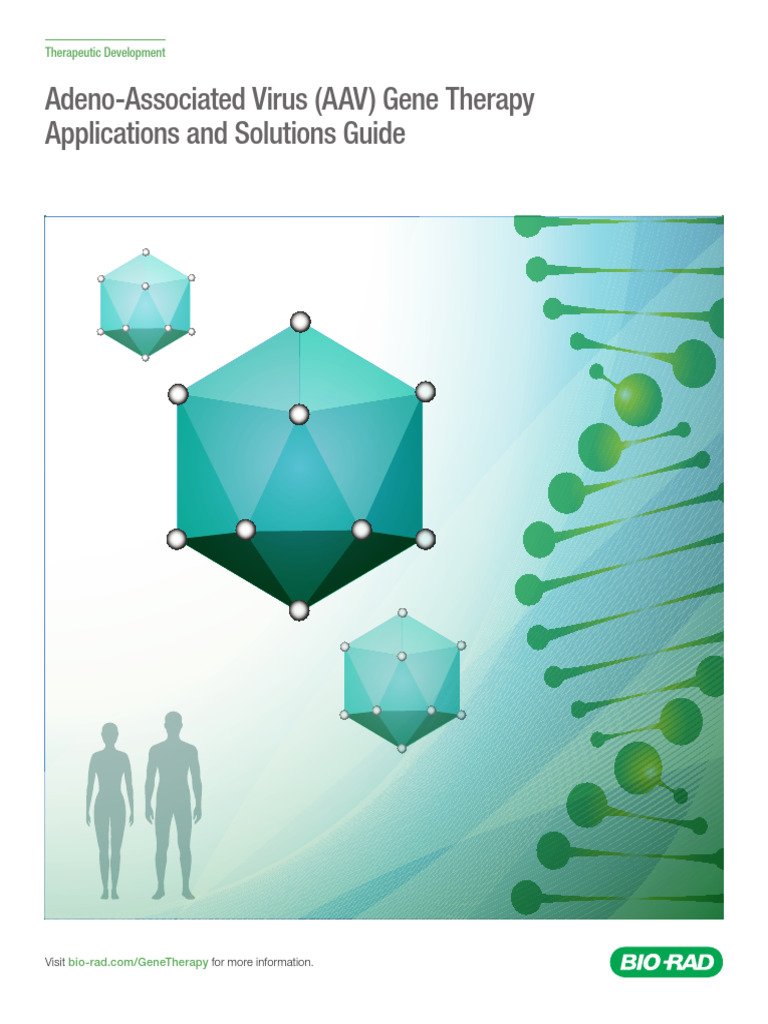AAV Gene Therapy Solutions Guide | PDF | Real Time Polymerase Chain ...