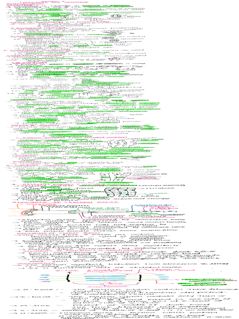 Untitl | PDF