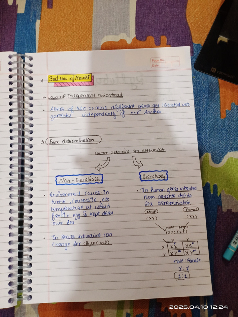 For Class 9th Notes Include Question Answer | PDF