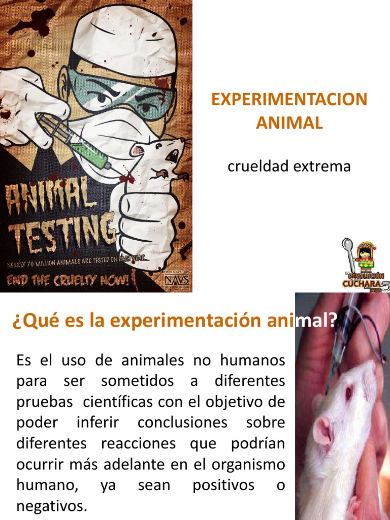 Animal Testing | PDF
