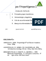 Caracteristicas Hongos