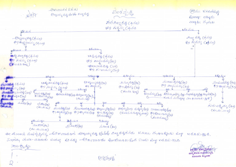 Family Tree of Pillareddy | PDF