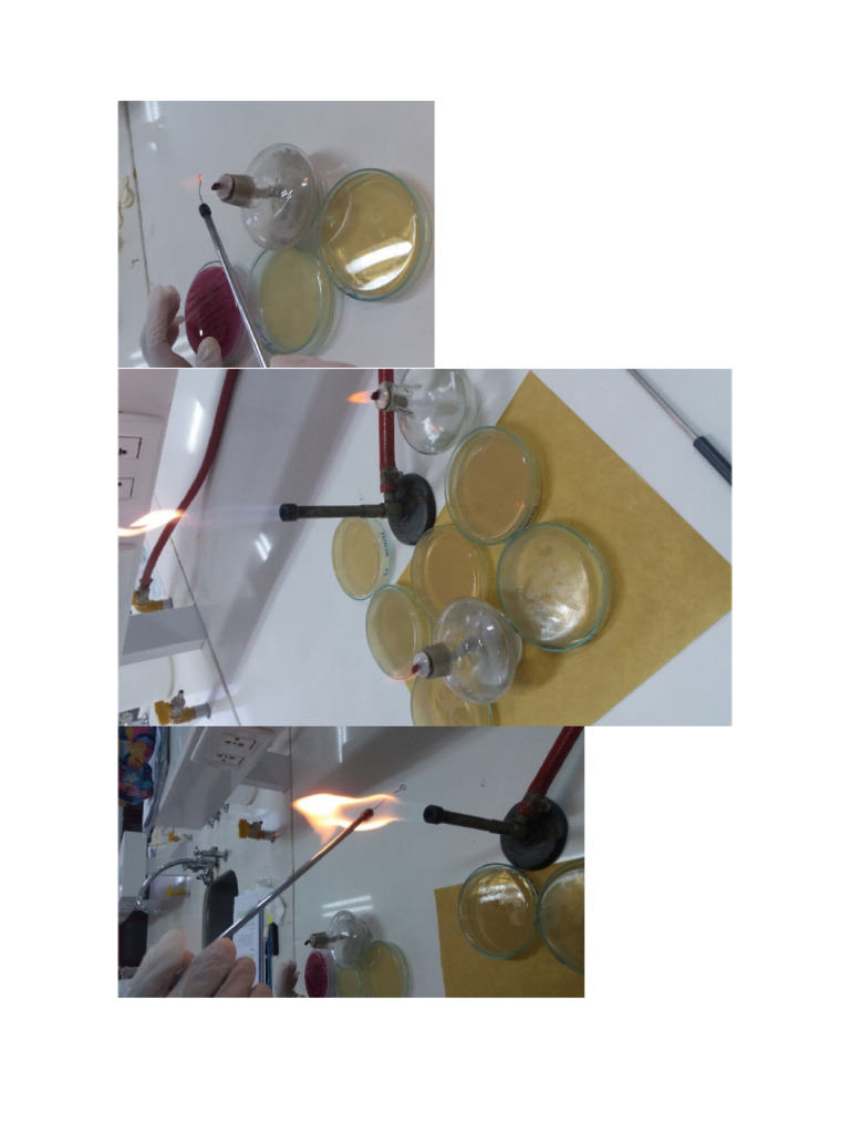 Imagen Lab 2 | PDF