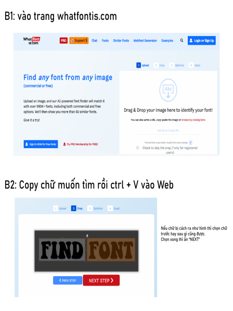 Find Font | PDF