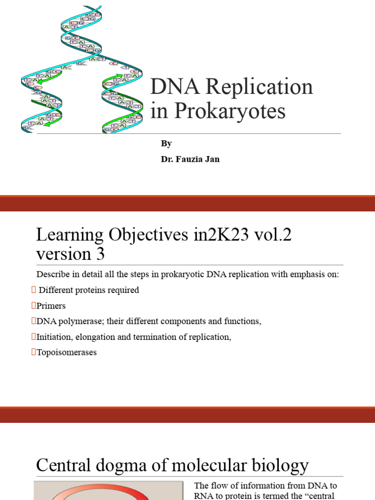 DNA Replication in Prokaryotes - 1 | PDF | Dna Replication | Dna