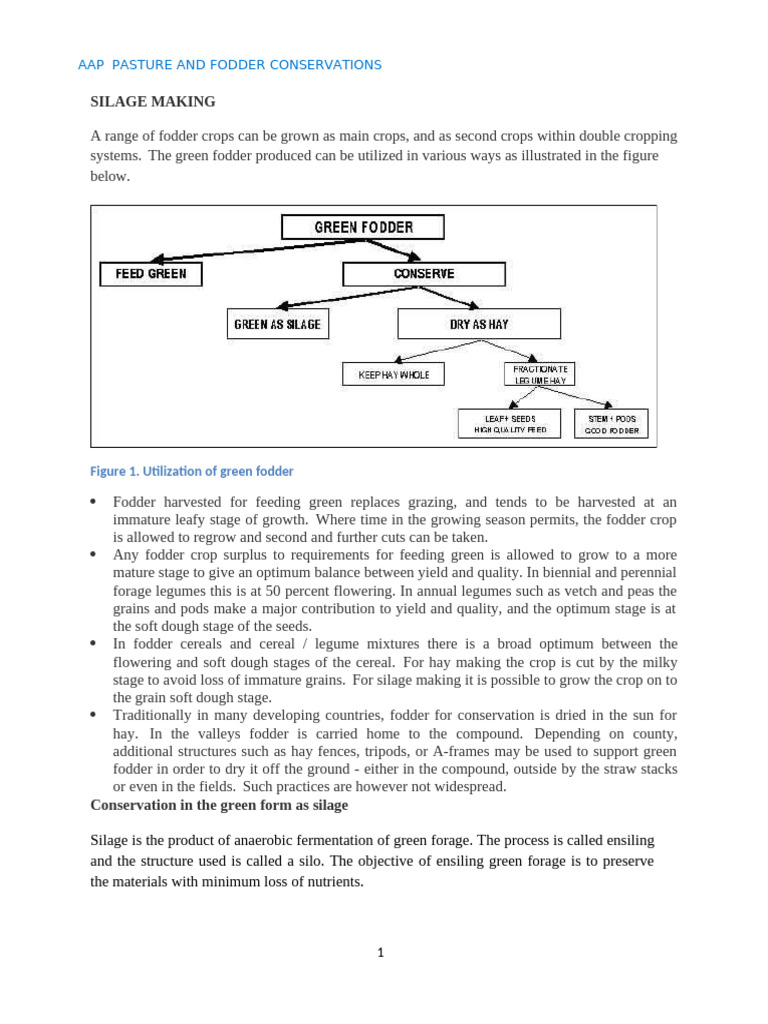 Silage Making Techniques and Benefits | PDF | Legume | Cereals