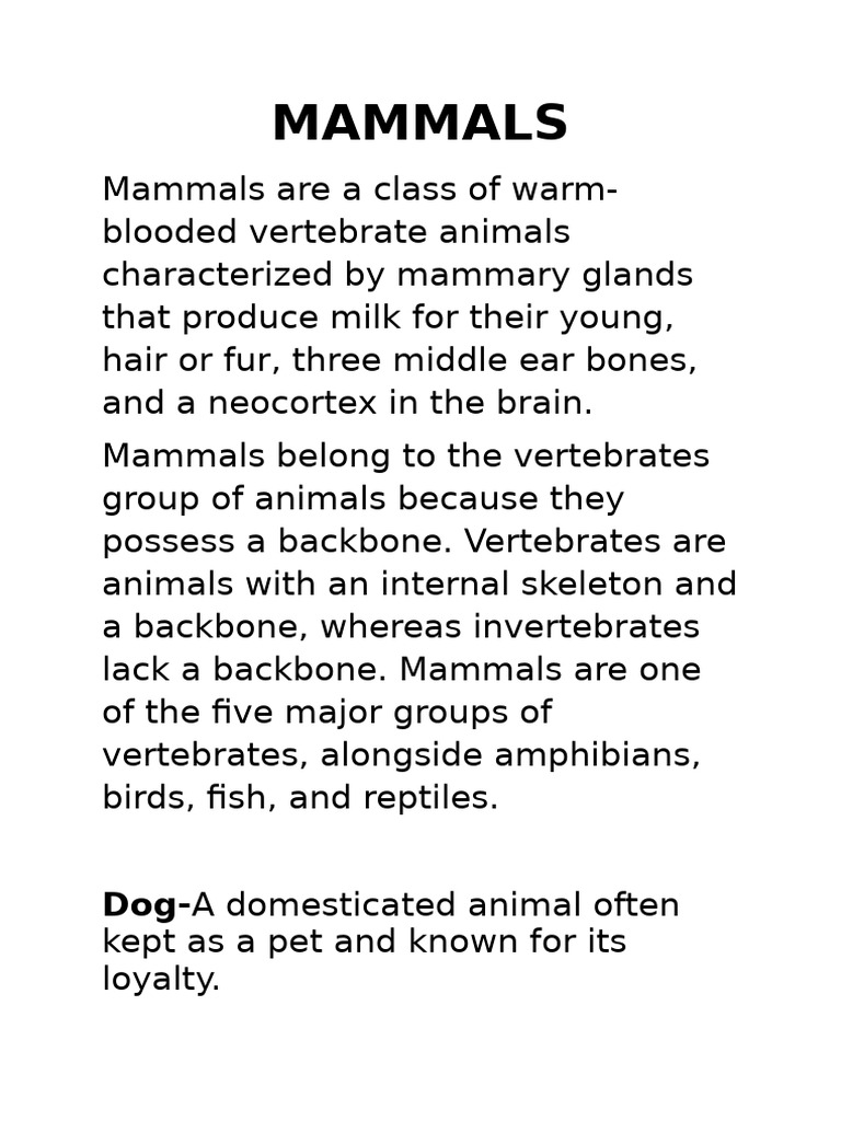 Overview of Mammals and Their Traits | PDF