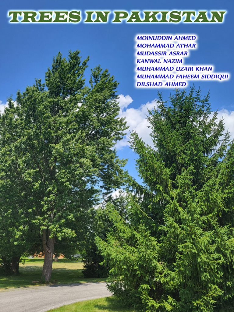Trees of Pakistan: A Comprehensive Guide | PDF | Grafting | Mango