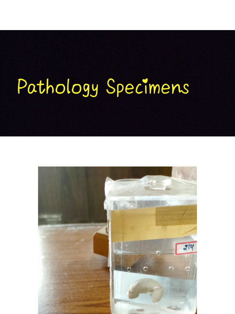 Pathology Specimens | PDF
