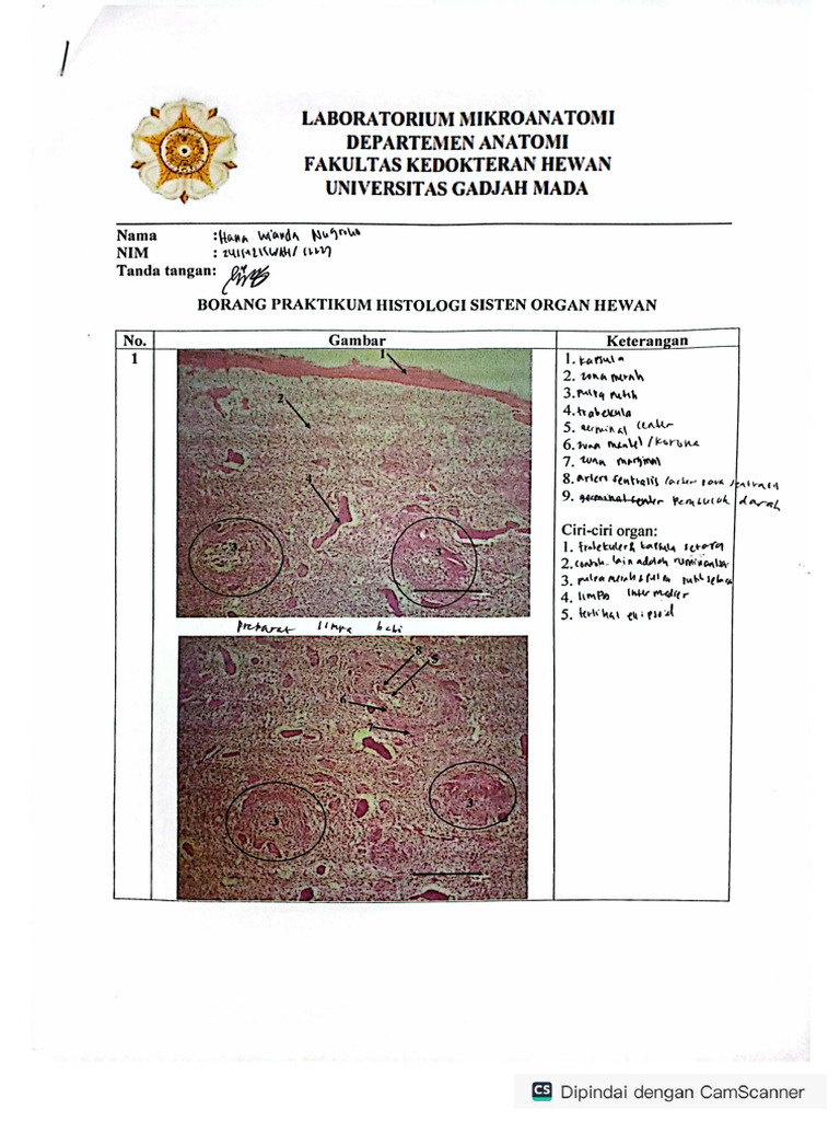 Borang Hsoh Acara 3 | PDF