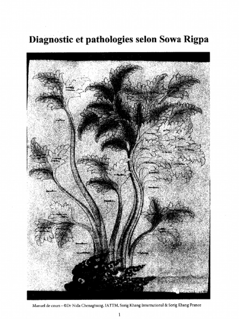 Diagnostic Pathologie Sowa Rigpa 1 37 Compressed | PDF