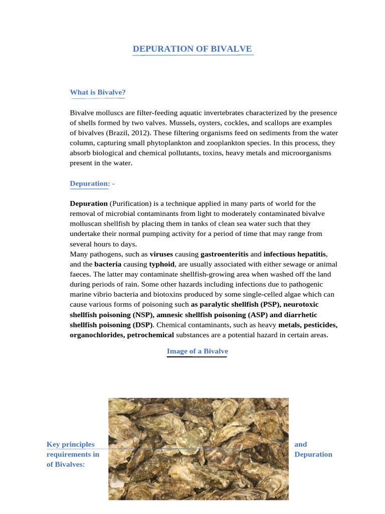Bivalve Depuration Process Explained | PDF | Bivalvia | Filtration