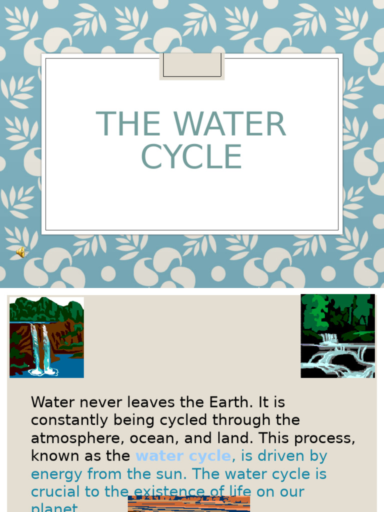 Understanding the Water Cycle | PDF