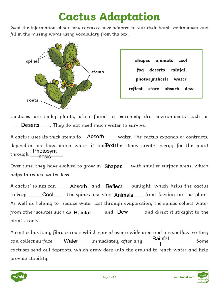 Cactus Adaptations for Survival | PDF