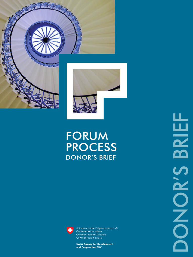 Donor's Brief on Forum Process Guide | PDF | Governance | Non ...