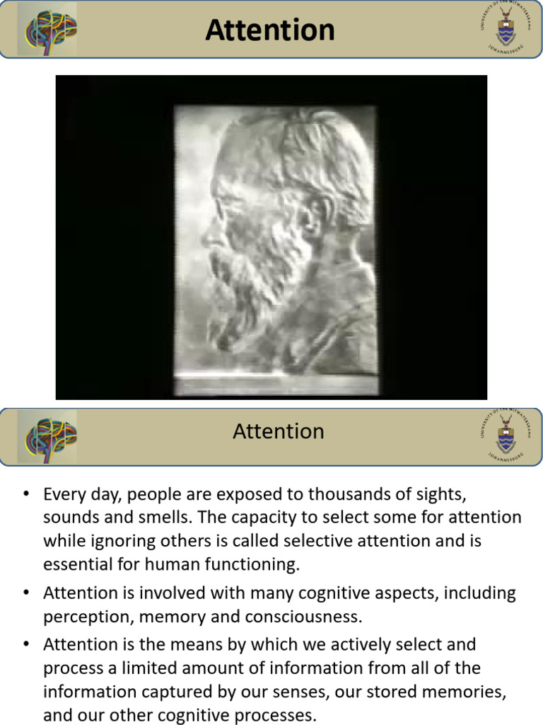 Understanding Selective Attention and Blindness | PDF | Attention ...